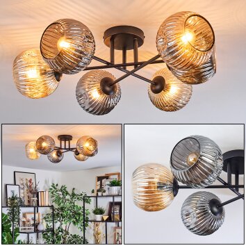 Ripoll Plafondlamp, Kogellampje Amber, Rookkleurig, 6-lichts