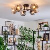 Ripoll Plafondlamp, Kogellampje Duidelijk, Rookkleurig, 6-lichts