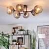 Ripoll Plafondlamp, Kogellampje Duidelijk, Rookkleurig, 6-lichts