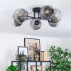 Ripoll Plafondlamp, Kogellampje Duidelijk, Rookkleurig, 6-lichts