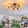 Ripoll Plafondlamp, Kogellampje Amber, Duidelijk, 6-lichts