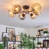 Ripoll Plafondlamp, Kogellampje Amber, Duidelijk, Rookkleurig, 6-lichts