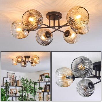 Ripoll Plafondlamp, Kogellampje Amber, Duidelijk, Rookkleurig, 6-lichts