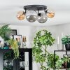 Chehalis Plafondlamp, Kogellampje Amber, Rookkleurig, 4-lichts