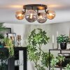 Chehalis Plafondlamp, Kogellampje Amber, Rookkleurig, 4-lichts
