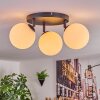 Gastor Plafondlamp, Kogellampje Wit, 3-lichts