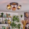 Koyoto Plafondlamp, Kogellampje Chroom, Duidelijk, Koperkleurig, Rookkleurig, 3-lichts