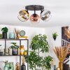 Koyoto Plafondlamp, Kogellampje Chroom, Duidelijk, Koperkleurig, Rookkleurig, 3-lichts