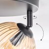 Koyoto Plafondlamp, Kogellampje Amber, Duidelijk, Rookkleurig, 3-lichts