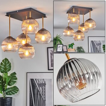Ripoll Plafondlamp, Kogellampje Goud, Zwart, 5-lichts