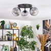 Koyoto Plafondlamp, Kogellampje Duidelijk, Rookkleurig, 3-lichts