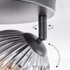 Koyoto Plafondlamp, Kogellampje Duidelijk, Rookkleurig, 3-lichts