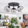 Koyoto Plafondlamp, Kogellampje Duidelijk, Rookkleurig, 3-lichts