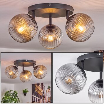 Koyoto Plafondlamp, Kogellampje Duidelijk, Rookkleurig, 3-lichts