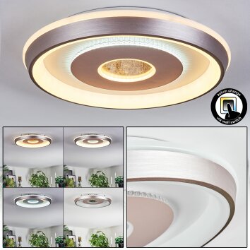 Dakon Plafondlamp LED Champagne, Wit, 1-licht