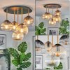 Koyoto Plafondlamp, Kogellampje Messing, Zwart, 5-lichts