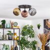Ripoll Plafondlamp, Kogellampje Goud, Koperkleurig, Rookkleurig, 3-lichts