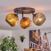 Ripoll Plafondlamp, Kogellampje Goud, Koperkleurig, Rookkleurig, 3-lichts