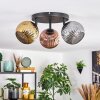 Ripoll Plafondlamp, Kogellampje Goud, Koperkleurig, Rookkleurig, 3-lichts