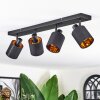 Fallhagen Plafondlamp, Plafondspot Zwart, 4-lichts