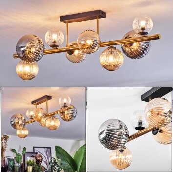 Chehalis Plafondlamp, Kogellampje Goud, Zwart, 8-lichts
