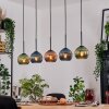 Koyoto Hanglamp, Kogellampje, Hanglamp Natuurlijke kleuren, Zwart, 5-lichts