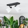 Fallhagen Plafondlamp, Plafondspot Zwart, 2-lichts