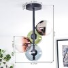 Chehalis Plafondlamp, Kogellampje 27 cm Blauw, Chroom, Groen, Duidelijk, Koperkleurig, Rookkleurig, 4-lichts