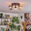 Gastor Plafondlamp, Kogellampje Amber, Duidelijk, Rookkleurig, 3-lichts