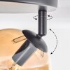 Gastor Plafondlamp, Kogellampje Amber, Duidelijk, Rookkleurig, 3-lichts