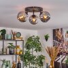 Ripoll Plafondlamp, Kogellampje Rookkleurig, 3-lichts