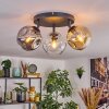 Ripoll Plafondlamp, Kogellampje Amber, Duidelijk, Rookkleurig, 3-lichts