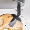 Ripoll Plafondlamp, Kogellampje Amber, Duidelijk, Rookkleurig, 3-lichts