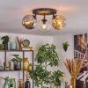Ripoll Plafondlamp, Kogellampje Amber, Duidelijk, Rookkleurig, 3-lichts