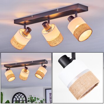 Fallhagen Plafondlamp, Plafondspot Zwart, 3-lichts