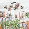 Koyoto Plafondlamp, Kogellampje Goud, Zwart, 10-lichts