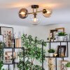 Gastor Plafondlamp, Kogellampje Goud, Zwart, 3-lichts