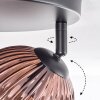 Koyoto Plafondlamp, Kogellampje Blauw, Goud, Koperkleurig, 3-lichts