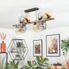 Ripoll Plafondlamp, Kogellampje Goud, Zwart, 8-lichts