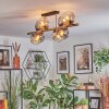 Ripoll Plafondlamp, Kogellampje Goud, Zwart, 8-lichts