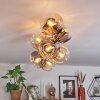 Ripoll Plafondlamp, Kogellampje Goud, Zwart, 8-lichts