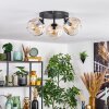 Ripoll Plafondlamp, Kogellampje Amber, Duidelijk, 3-lichts