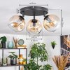 Ripoll Plafondlamp, Kogellampje Amber, Duidelijk, 3-lichts