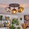 Ripoll Plafondlamp, Kogellampje Chroom, Goud, Duidelijk, Koperkleurig, Rookkleurig, 3-lichts