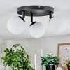 Chehalis Plafondlamp, Kogellampje 44 cm Wit, 3-lichts