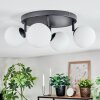 Chehalis Plafondlamp, Kogellampje Wit, 4-lichts