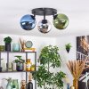 Gastor Plafondlamp, Kogellampje Blauw, Chroom, Groen, Rookkleurig, 3-lichts