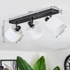 Bassagoda Plafondlamp, Plafondspot Zwart, 3-lichts
