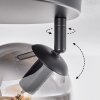 Gastor Plafondlamp, Kogellampje 25 cm Duidelijk, Rookkleurig, 3-lichts