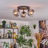 Gastor Plafondlamp, Kogellampje 25 cm Duidelijk, Rookkleurig, 3-lichts